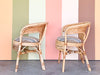 Pair of Rattan and Cane Barrel Chairs