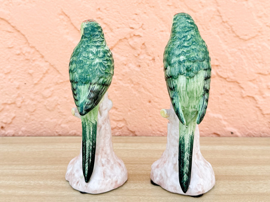 Pair of Adorable Italian Parakeets