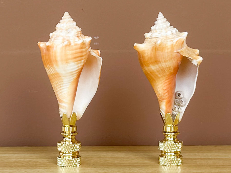 Orange Shell Finial
