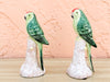 Pair of Adorable Italian Parakeets