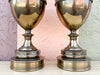 Pair of Stiffel Brass Trophy Lamps