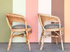 Pair of Rattan and Cane Barrel Chairs