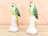 Pair of Adorable Italian Parakeets