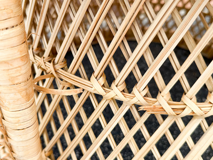 Pair of Island Style Buri Rattan Chairs