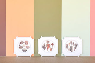 Set of Three Decoupage Shell Plates