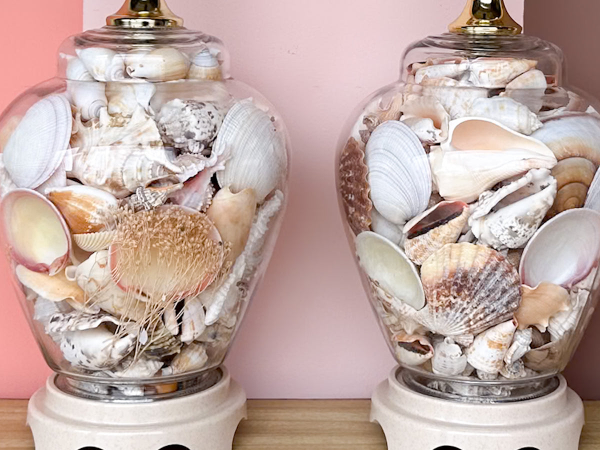 Pair of Petite Shell Ginger Jar Lamps