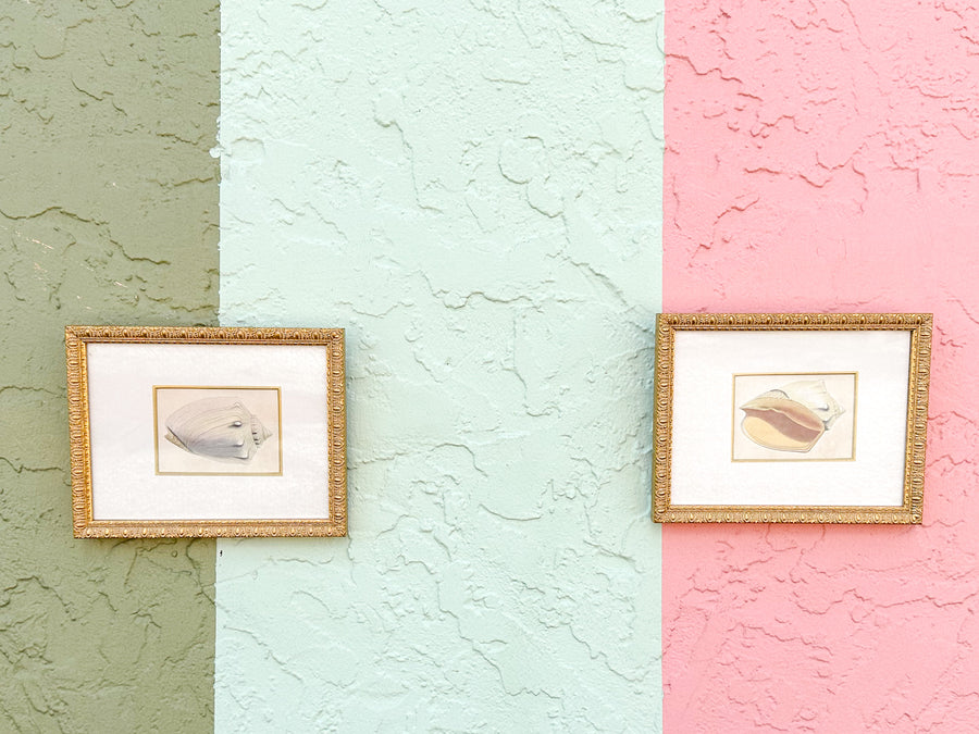 Pair of Sweet Shell Framed Prints