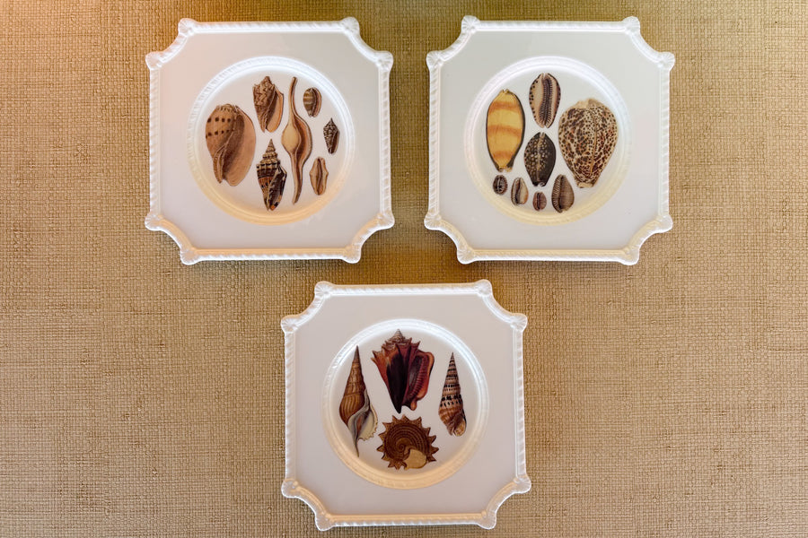 Set of Three Decoupage Shell Plates
