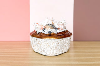Beautiful Shell Trinket Box