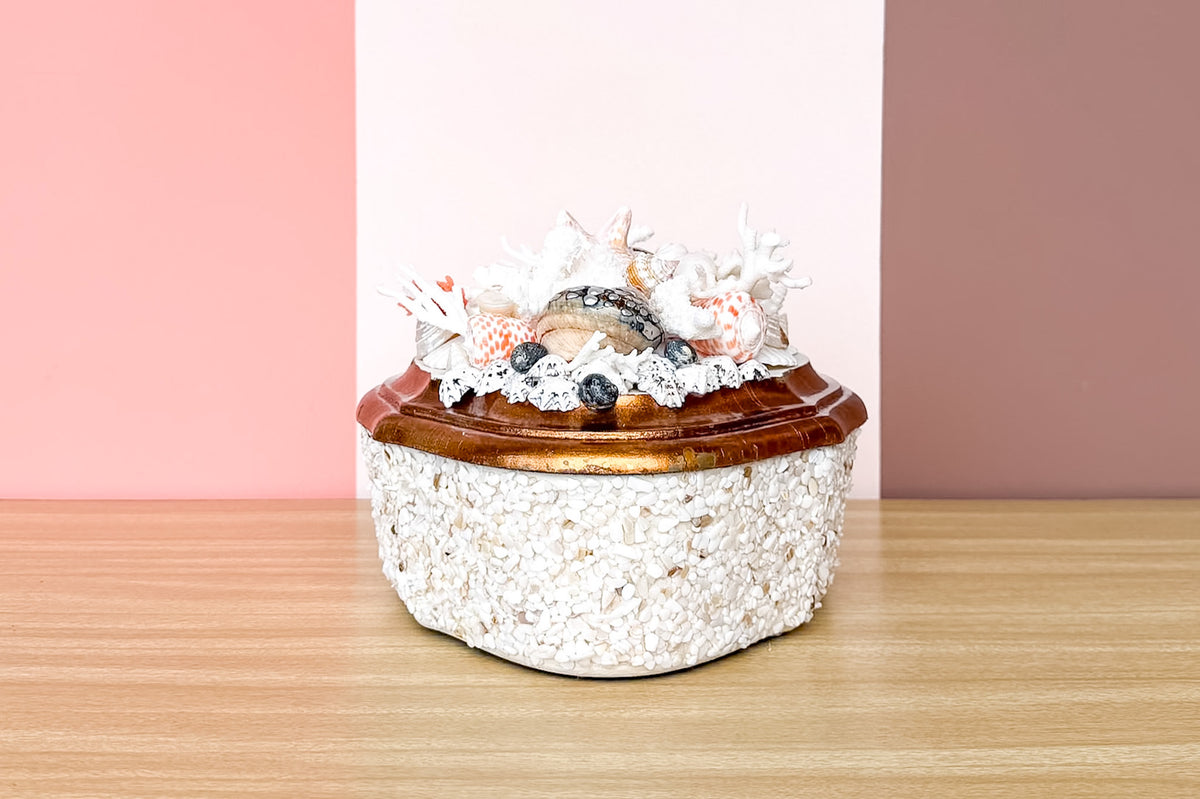 Beautiful Shell Trinket Box