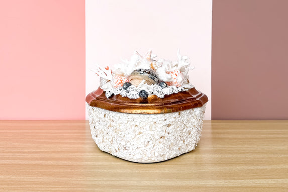 Beautiful Shell Trinket Box