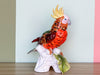Tropical Stafford Cockatoo