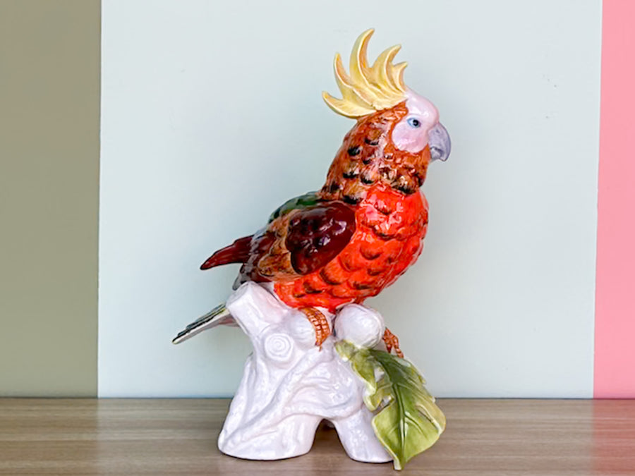 Tropical Stafford Cockatoo