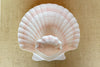 Japanese Clam Shell Chip and Dip