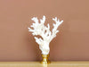 White Lace Coral Finial