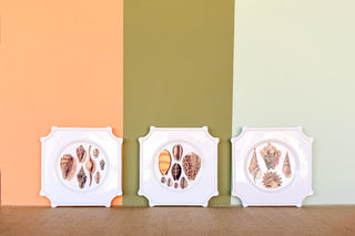 Set of Three Decoupage Shell Plates