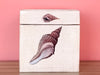 Shell Chic Decoupage Tissue Holder