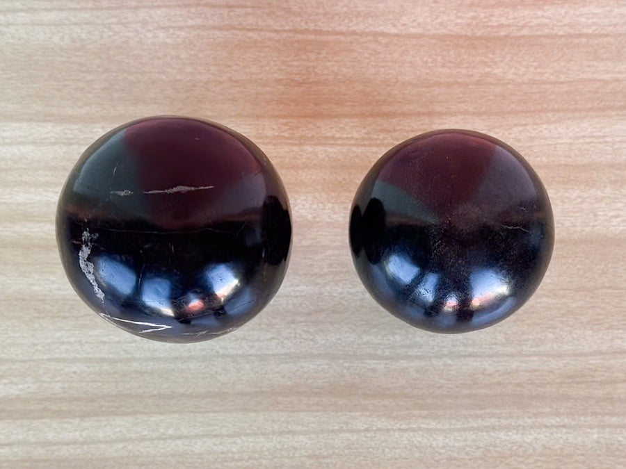 Pair of Kips Bay Show House Petrified Wood Mushrooms by Made Goods