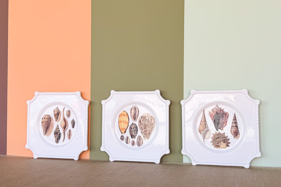 Set of Three Decoupage Shell Plates