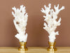 White Lace Coral Finial