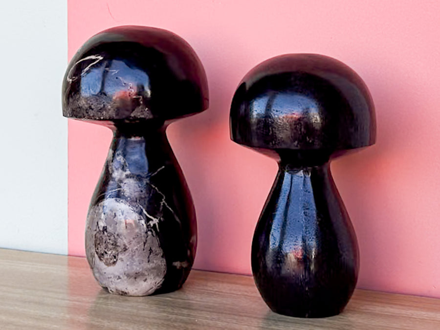 Pair of Kips Bay Show House Petrified Wood Mushrooms by Made Goods
