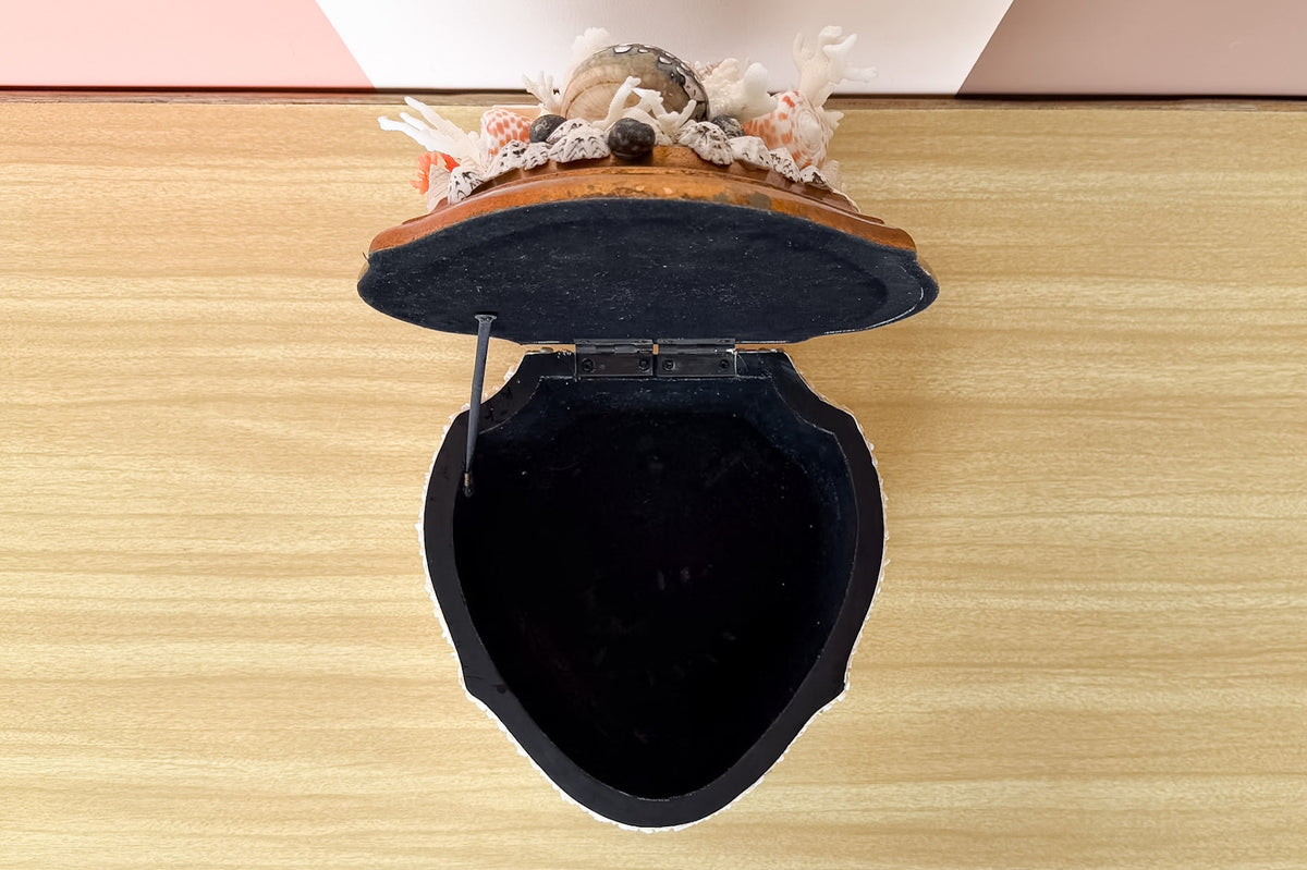 Beautiful Shell Trinket Box