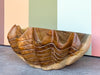 Large Hand Carved Teak Clam Shell