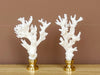 White Lace Coral Finial