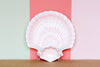 Japanese Clam Shell Chip and Dip