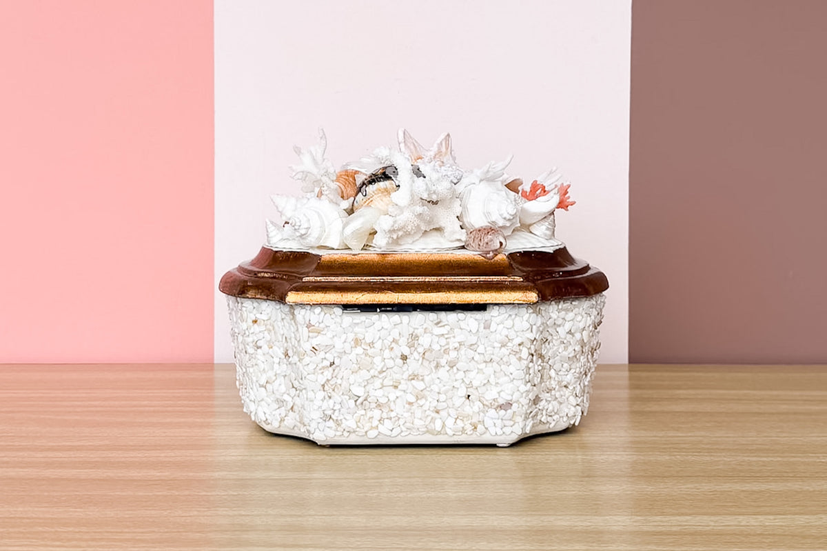 Beautiful Shell Trinket Box