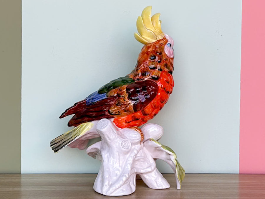 Tropical Stafford Cockatoo