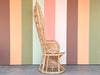 Fiddlehead Natural Rattan Peacock Chair