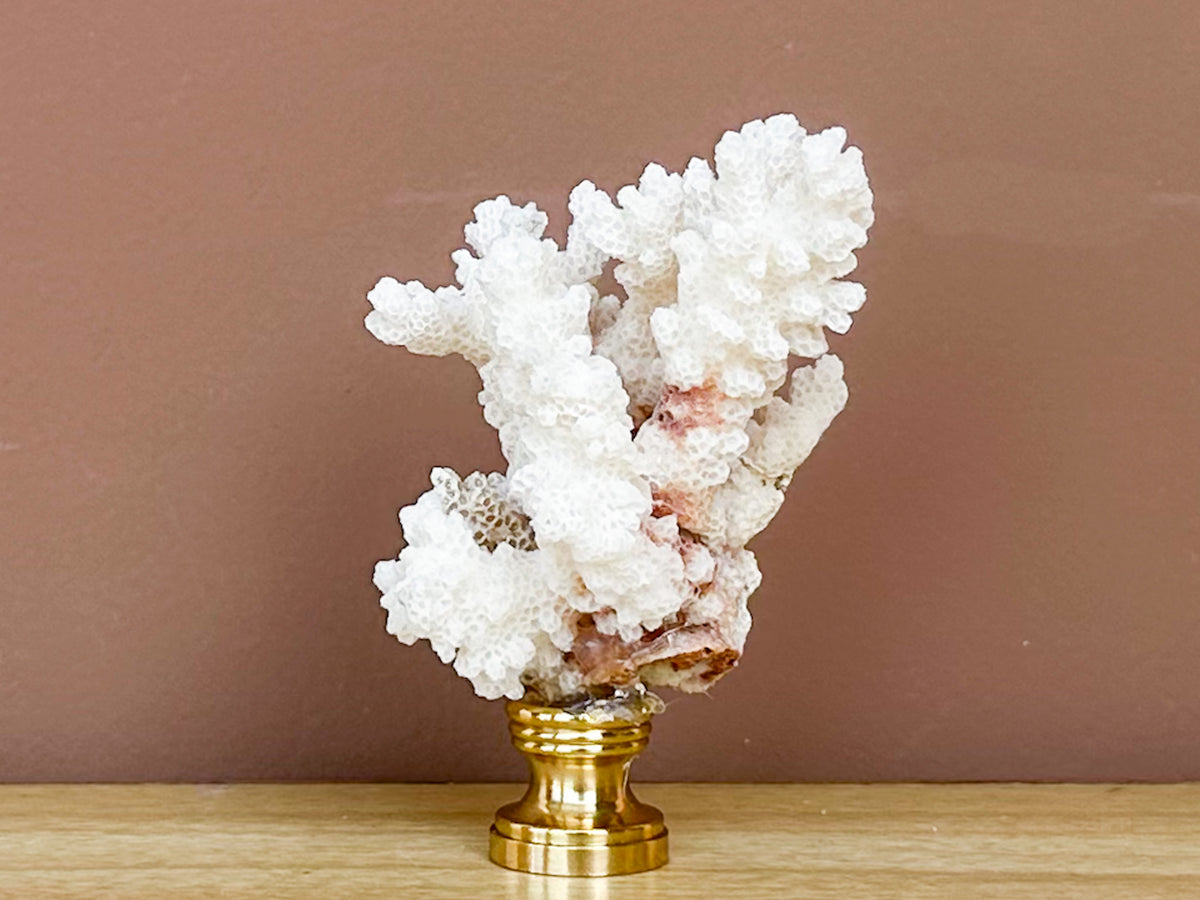White Coral Finial