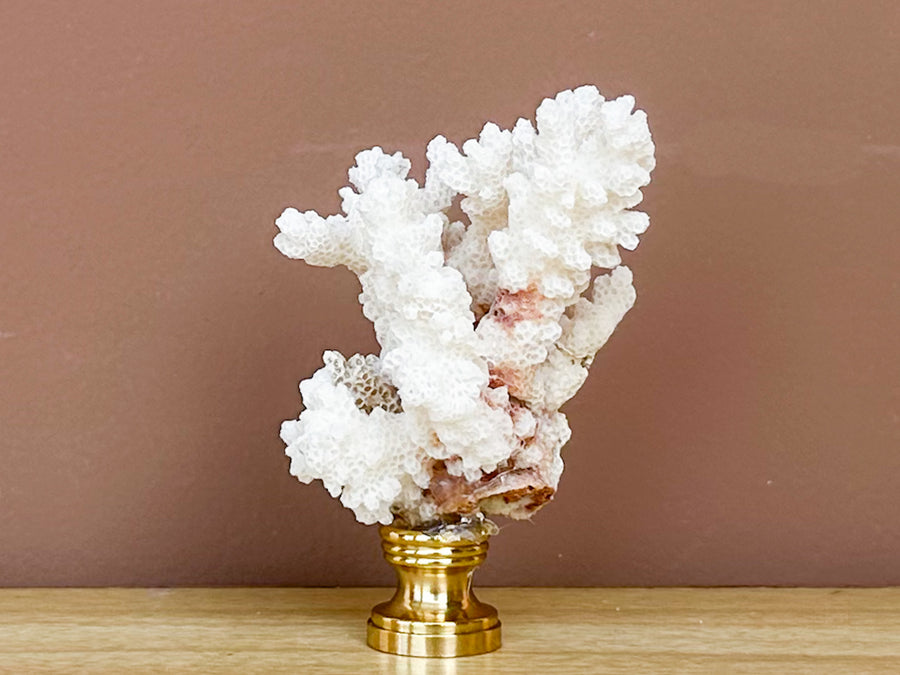 White Coral Finial