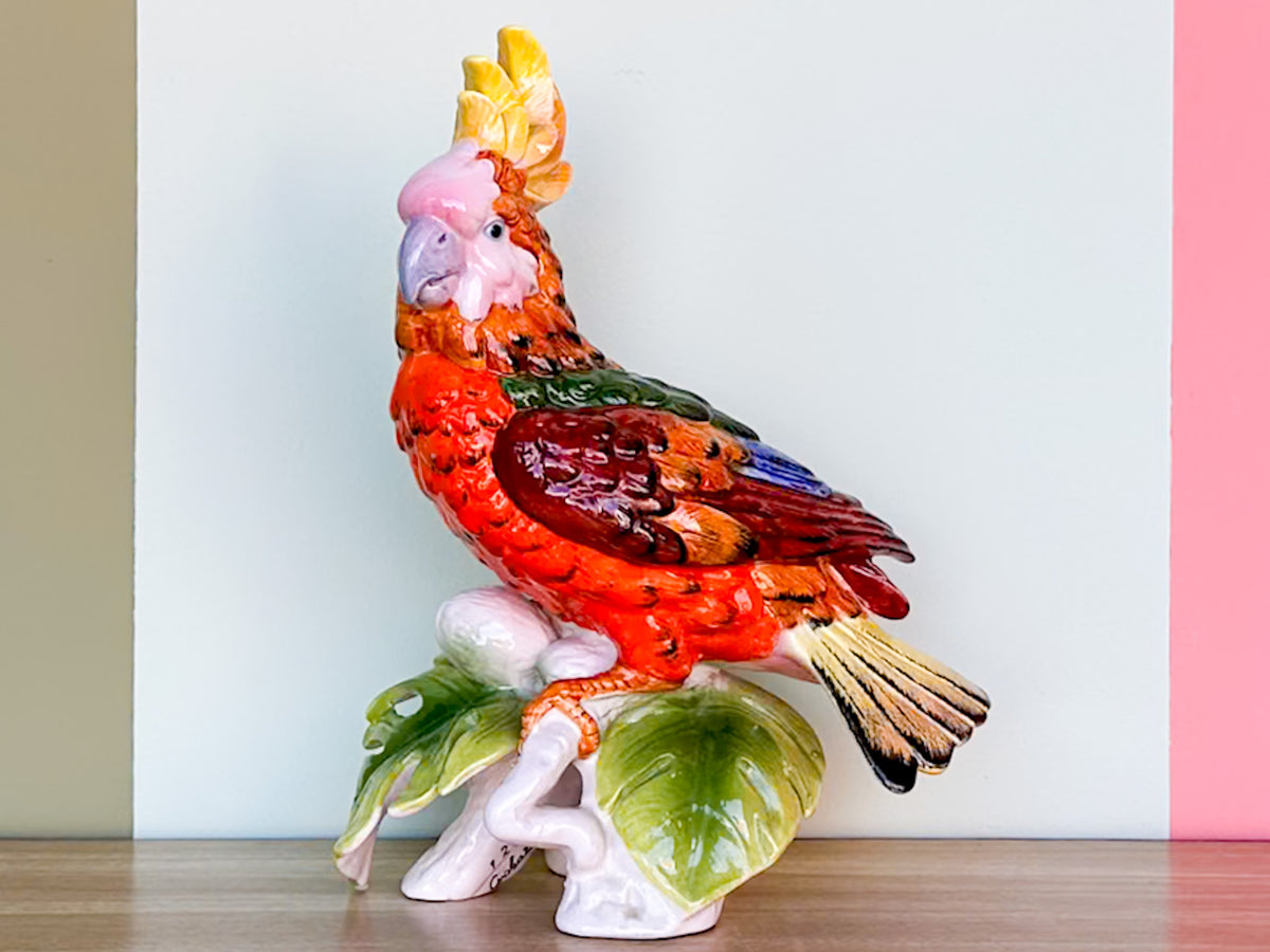 Tropical Stafford Cockatoo