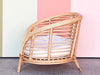 Rattan Dog Bed