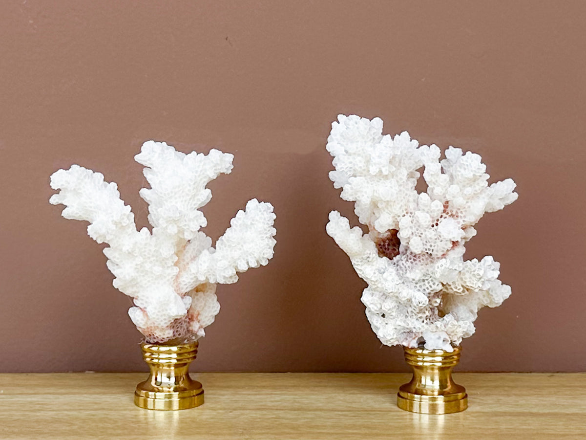 White Coral Finial