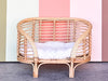 Rattan Dog Bed