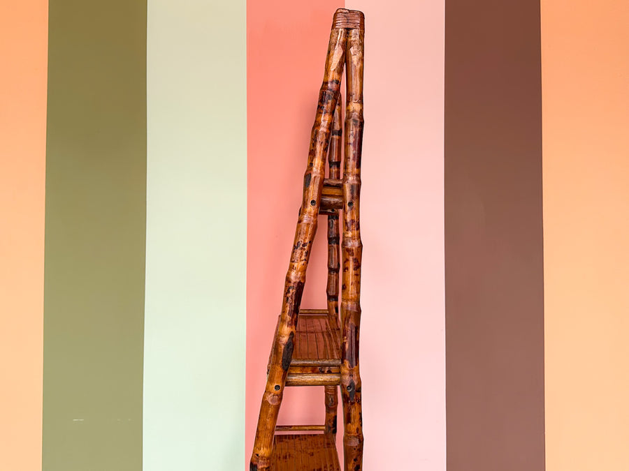 Tortoiseshell Rattan Leaning Etagere