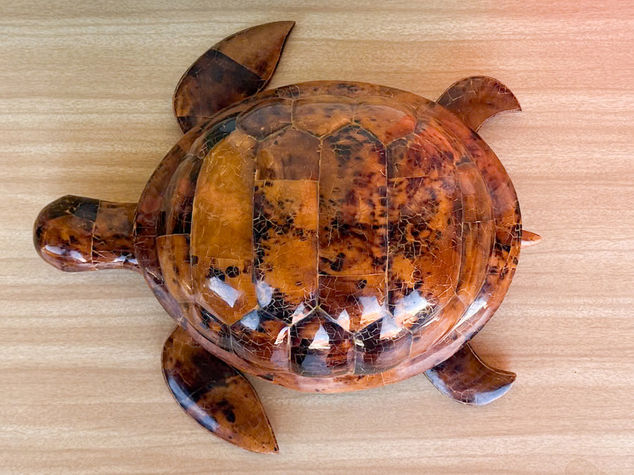 Kips Bay Show House Tortoise by Made Goods