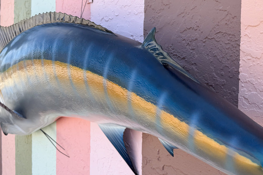 Huge Blue Marlin Taxidermy Mount