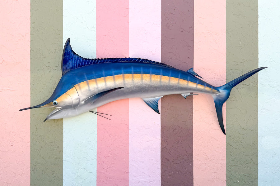Huge Blue Marlin Taxidermy Mount