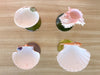 Set of Four Colorful Shell Coupes