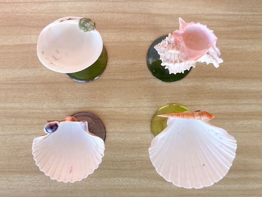 Set of Four Colorful Shell Coupes
