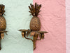 Pair of Brass Pineapple Wall Sconces