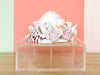 Lucite Box Shell Art Workshop at Palm Beach Regency