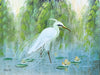 Pair of Old Florida Egret Original Art