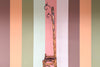 Tortoiseshell Bamboo Hall Tree