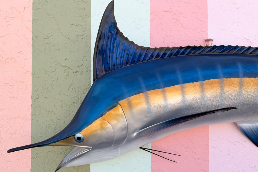 Huge Blue Marlin Taxidermy Mount