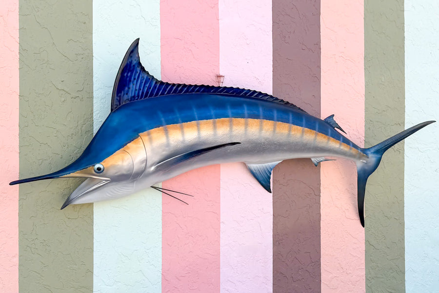 Huge Blue Marlin Taxidermy Mount